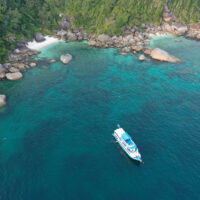 SharkWeek_PADI_Shutterstock
