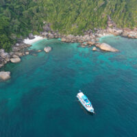 SharkWeek_PADI_Shutterstock