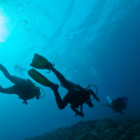 Backside image of three scuba divers.