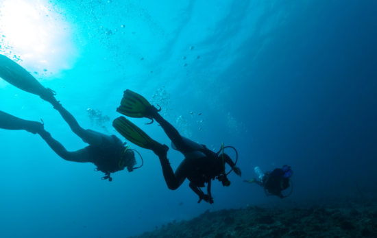 Backside image of three scuba divers.