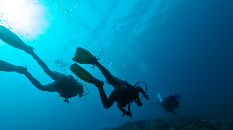 Backside image of three scuba divers.