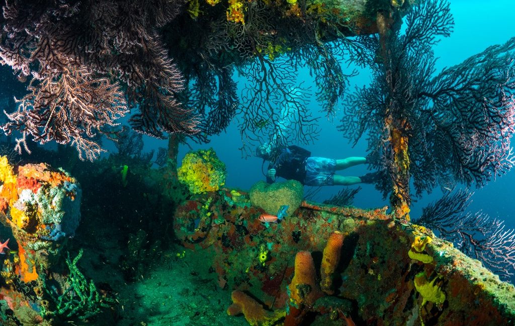 Another Action-Packed Total Submersion in the Books