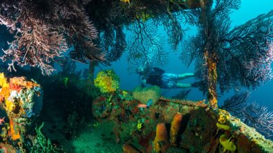 Total Submersion