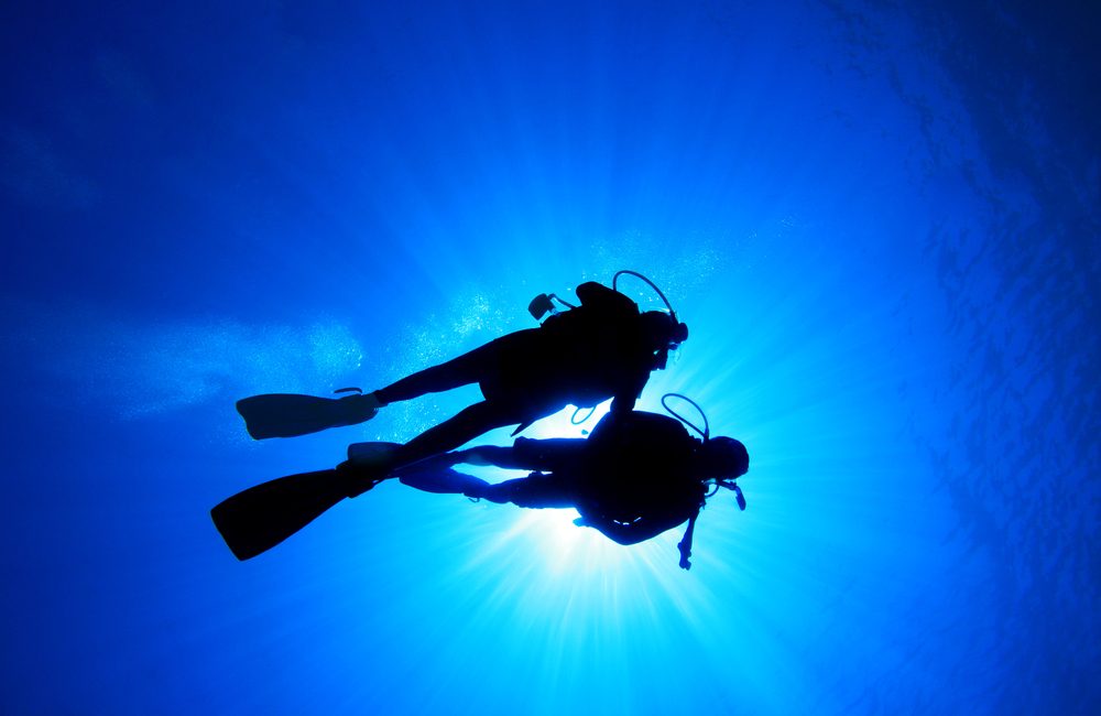 Be A Better Dive Buddy: 5 Things NOT To Do