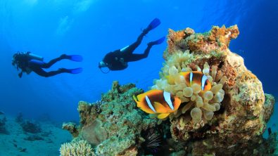 Two scuba divers exploring the underwater world.