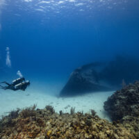 the 10 best liveaboard destinations for advanced divers