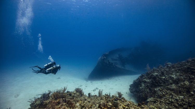 the 10 best liveaboard destinations for advanced divers