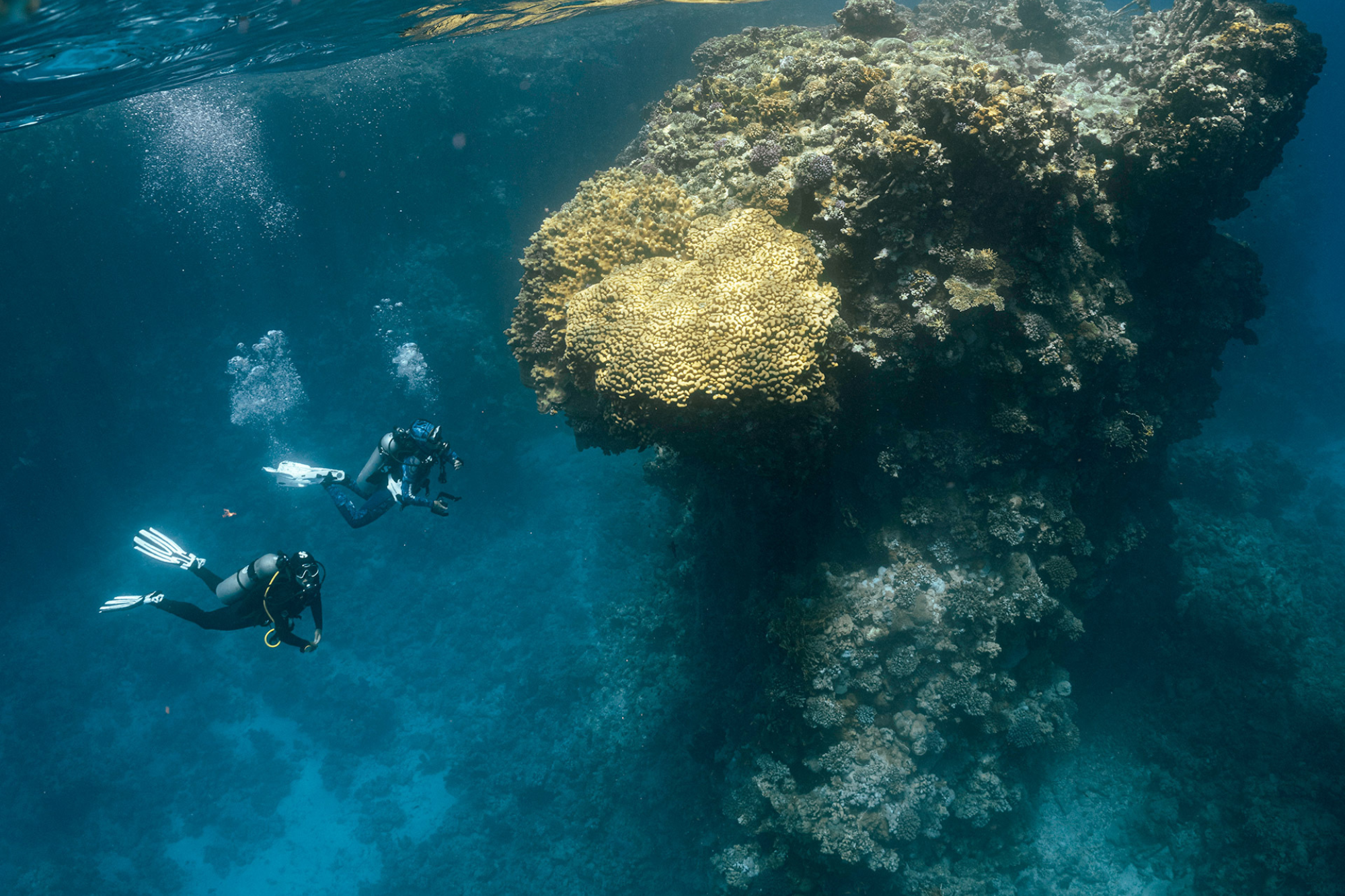 Two divers exploring a reef