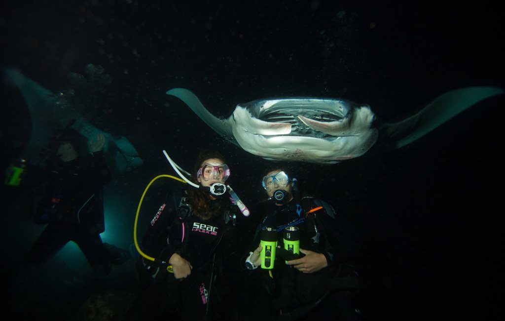 The Magic Behind the Manta Ray Night Dive