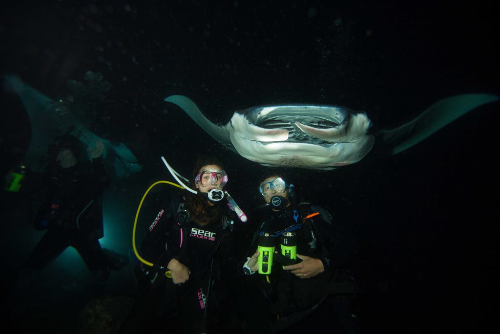 Manta Ray se arunca cu capul în Hawaii