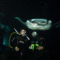 Manta Ray Dive in Hawaii