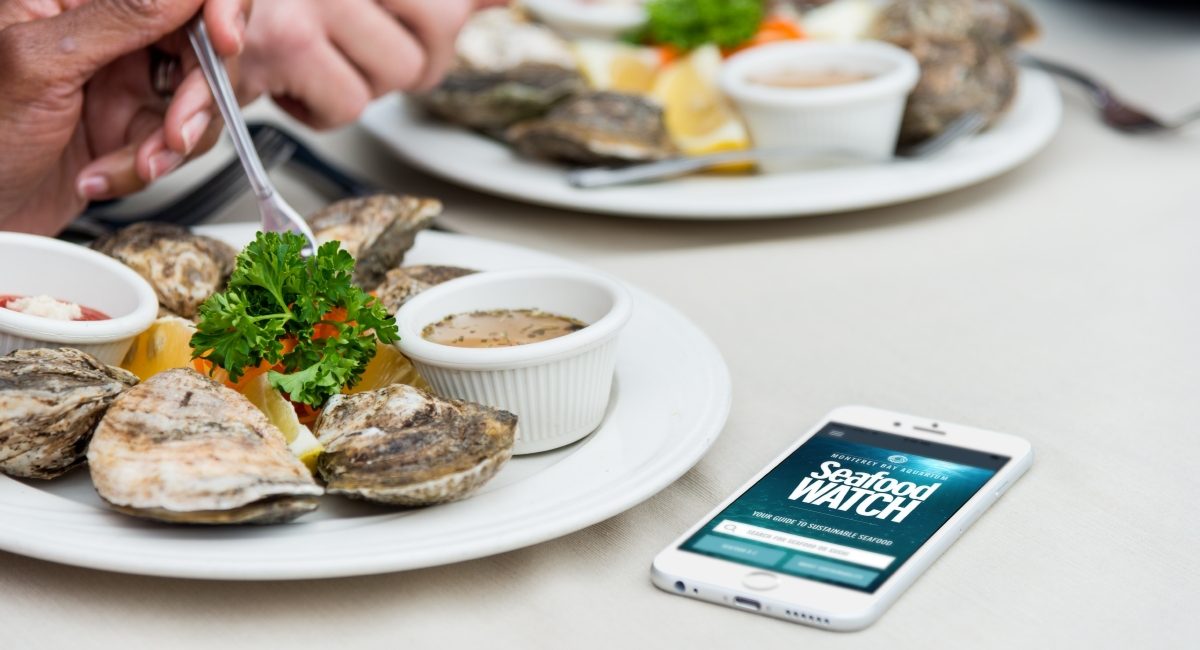 How to Make Responsible Choices at the Seafood Counter
