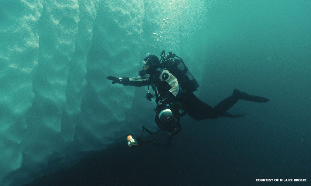 Szilvia Gogh - Underwater Photography