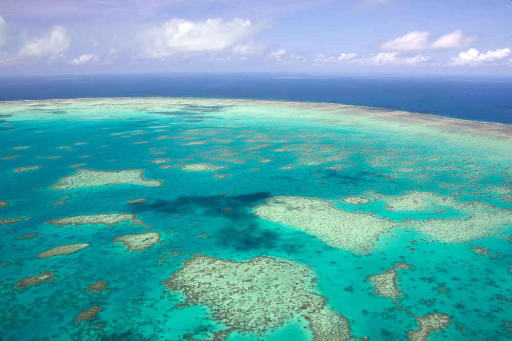 great barrier reef