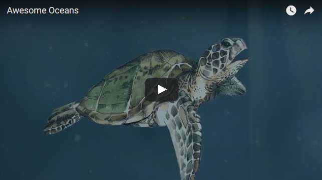 Featured Video: Awesome Oceans