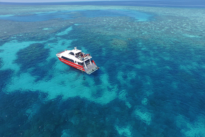 Cairns Dive Centre - Great Barrier Reef