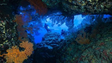 best cave cavern dive sites in the world