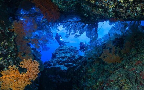 best cave cavern dive sites in the world
