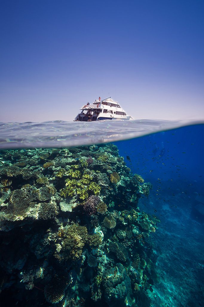 Diving with Deep Sea Divers Den, Cairns - Great Barrier Reef
