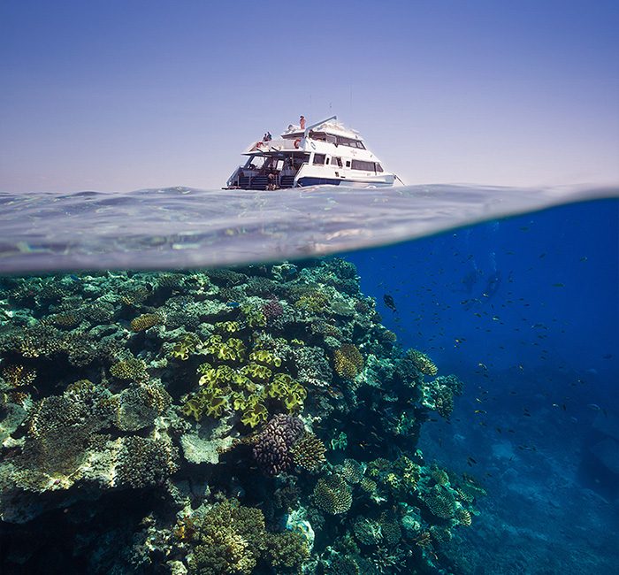 15 Great Barrier Reef Photos to Make You Want to Visit