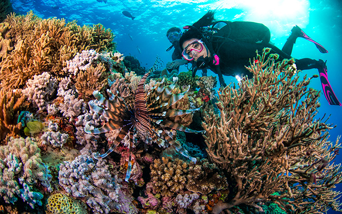 Pro Dive Cairns - Great Barrier Reef