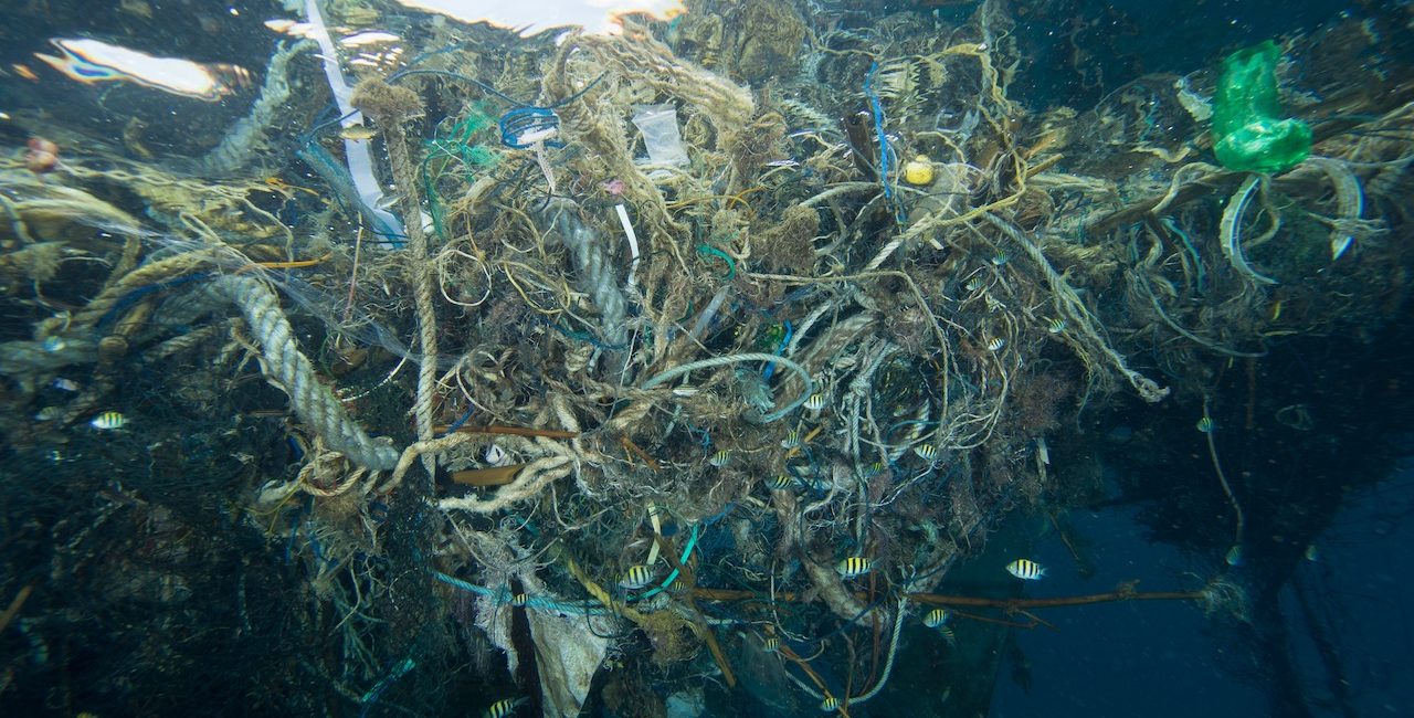 7 cose che puoi fare per salvare gli oceani