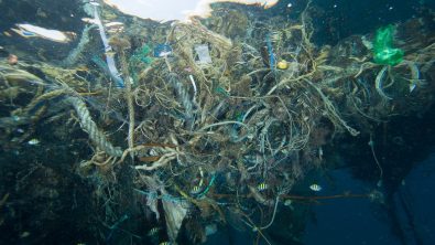 ways to help save the ocean