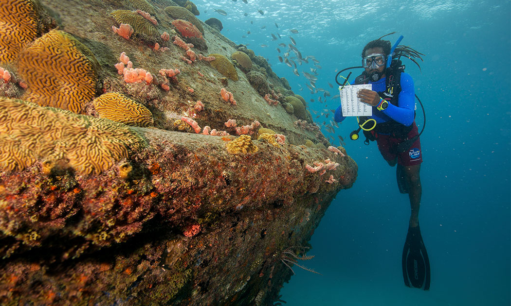 diver filling out sheet underwater padi sustainability