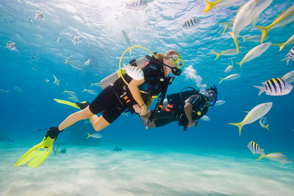 A PADI Enriched Air Diver enjoys an optional course dive with a dive instructor while swimming among reef fish in the Bahamas