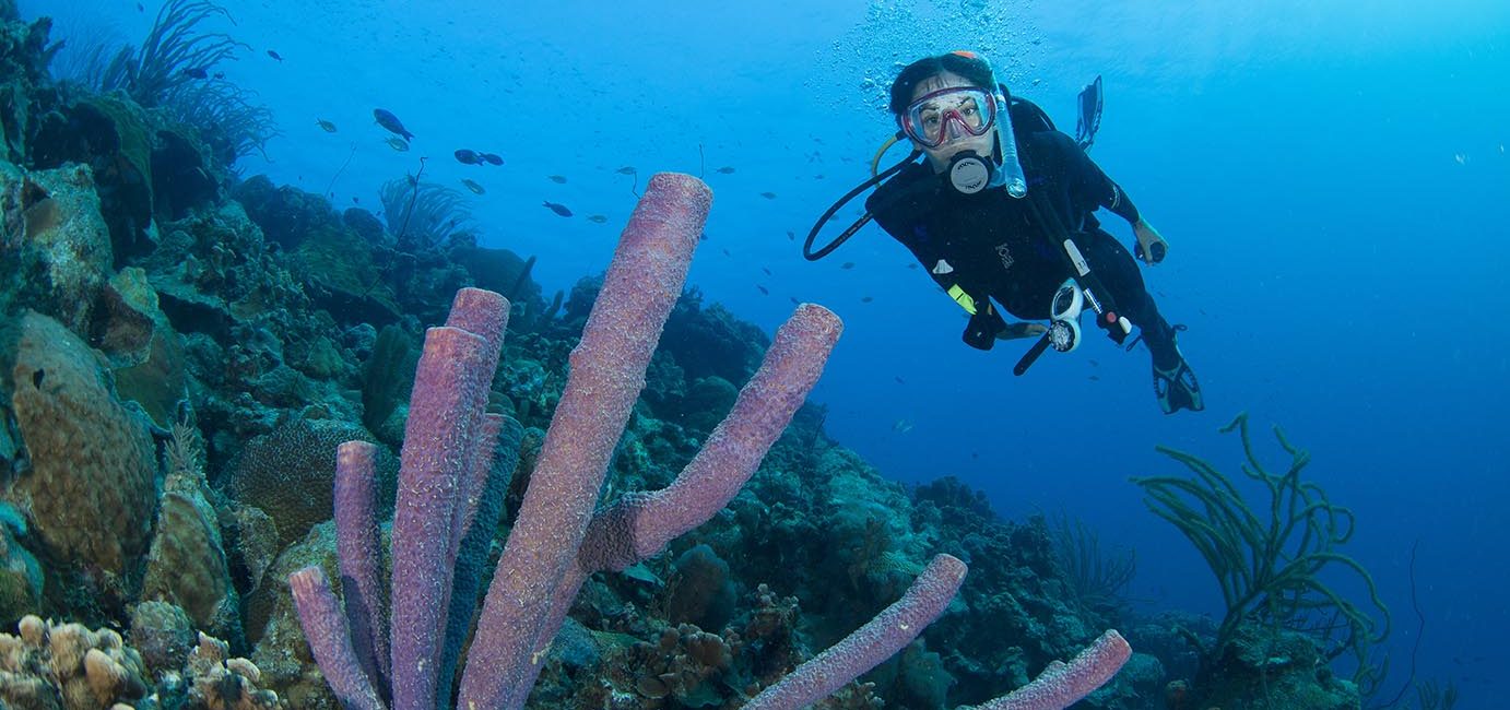 Essentials for Your Next Dive Holiday