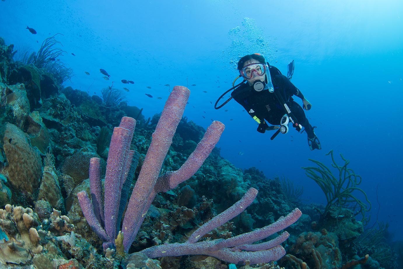 A diver in the waters of Bonaire, a great location for diving in October