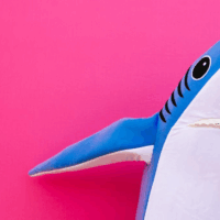 shark costume on pink background
