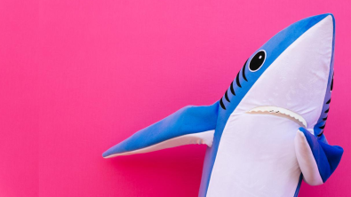 shark costume on pink background