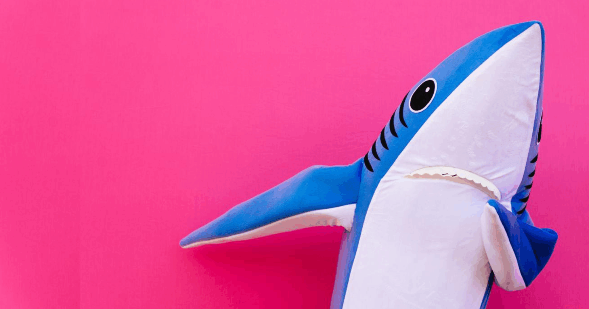 De beste Halloween-kostuumideeën met een duikthema, image size:2048x1075