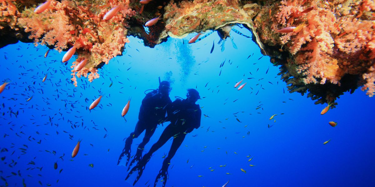 How Scuba Diving Can Make You Feel Great