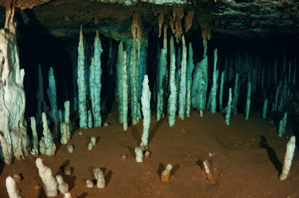 Ben's cave healhy water table and bacterial growth-Arek Pers