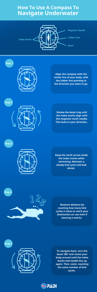how to use a compass underwater infographic