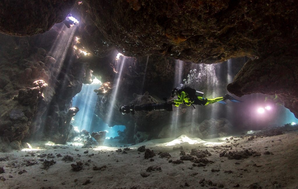Dive into Virtual Reality with the New The Must Of the Sea Apps