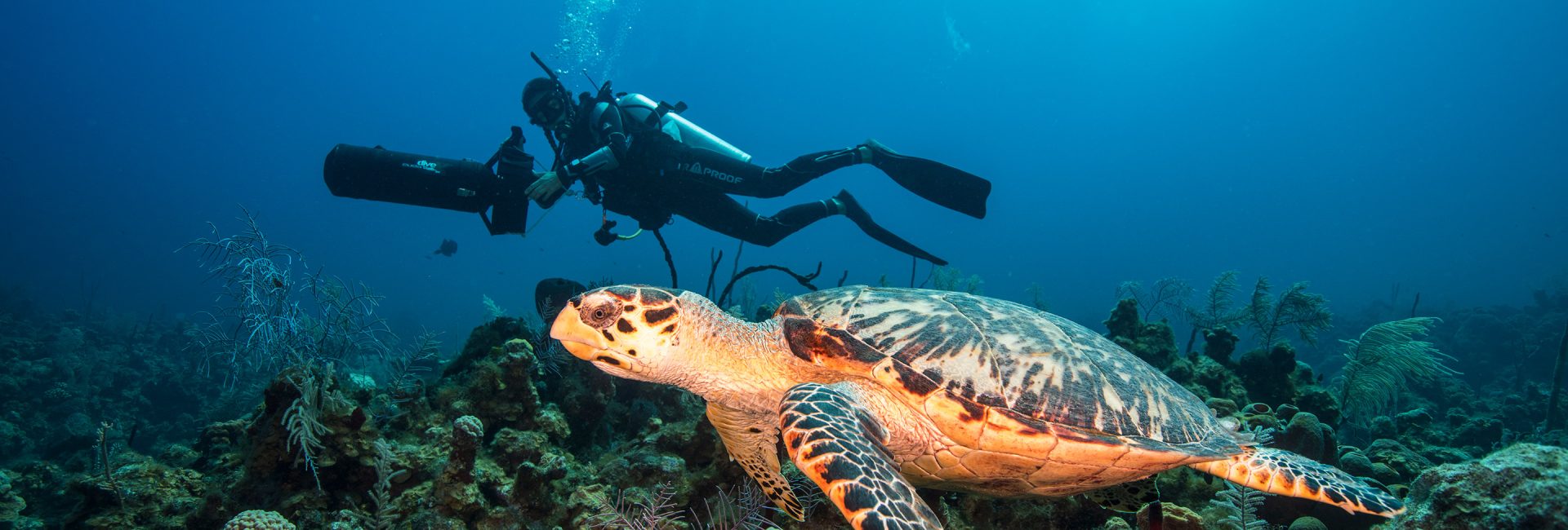 The Advanced Open Water Diver Course: 5 Dives for Skill Growth