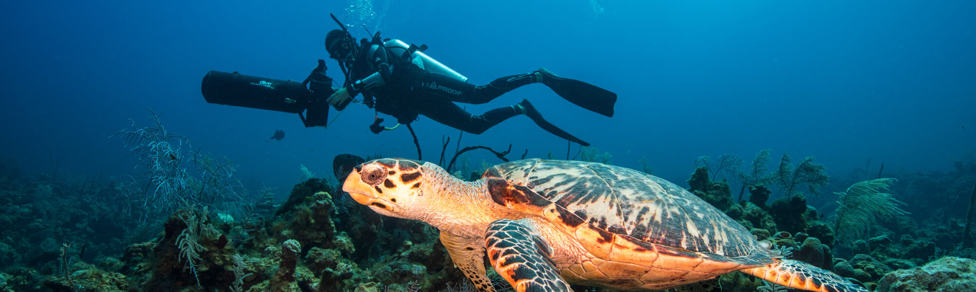 O Curso Advanced Open Water Diver: 5 mergulhos para o desenvolvimento de habilidades