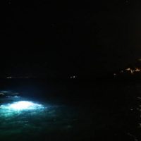 ibiza-night-dive
