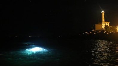 ibiza-night-dive