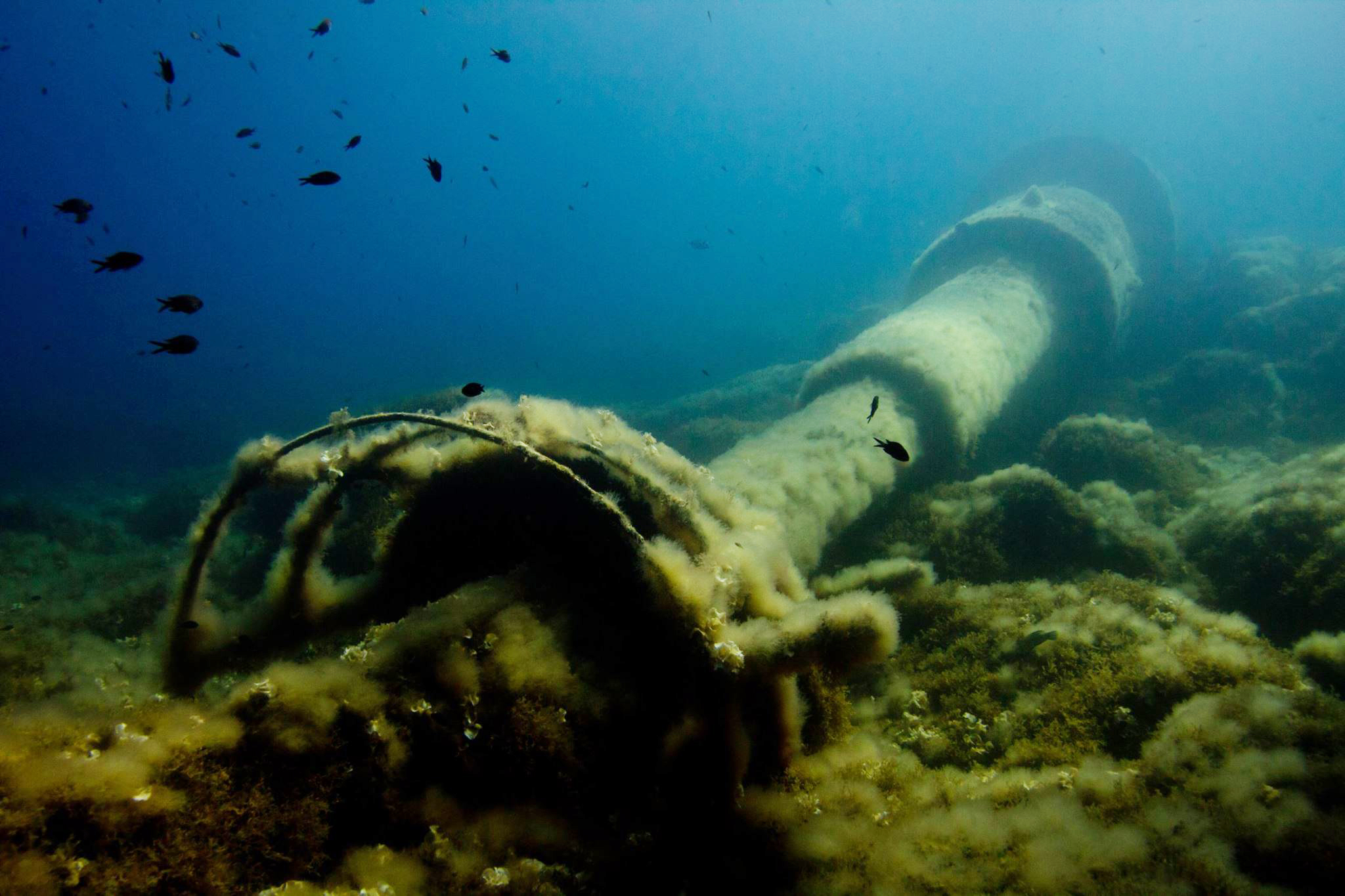 Wreckage covered debris underwater