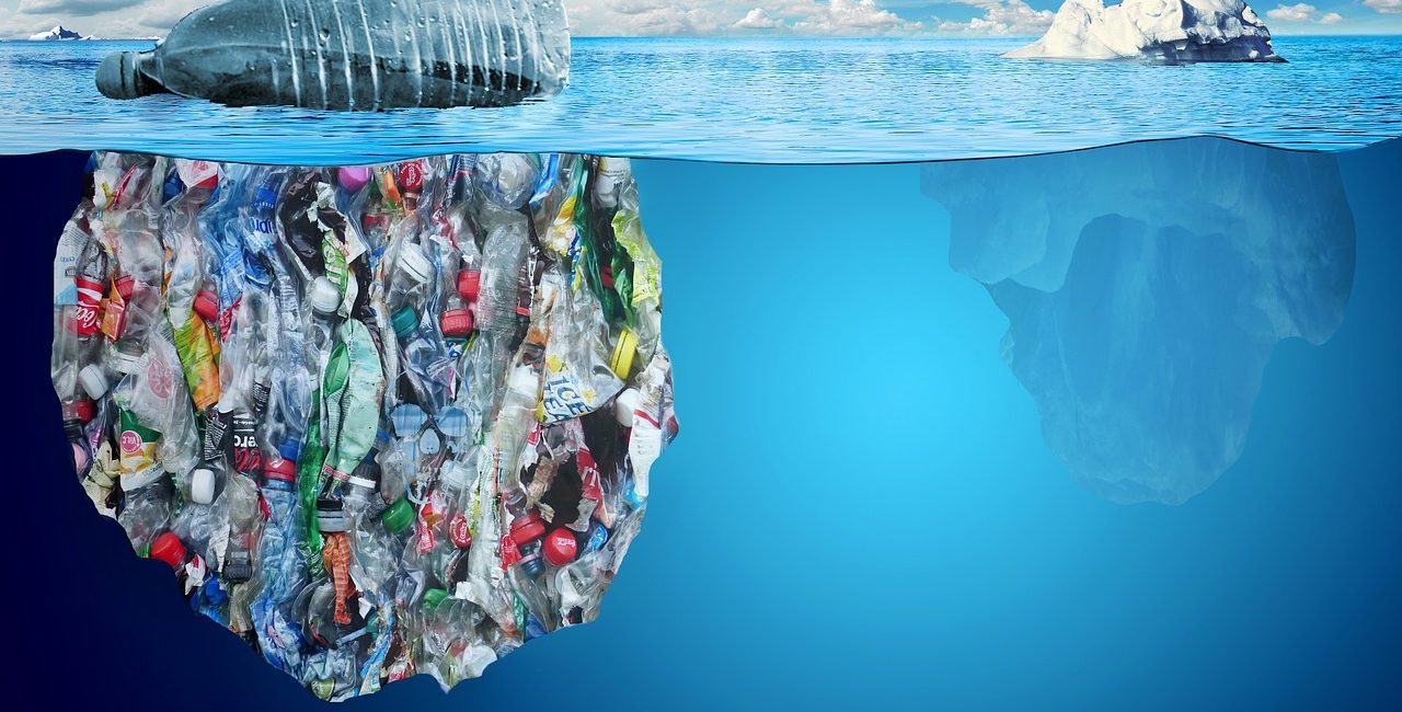 Humanities Plastic Addition: Saving Our Ocean