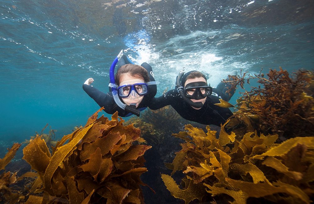 Welcoming Our Newest PADI AmbassaDivers, Riley and Steve Hathaway