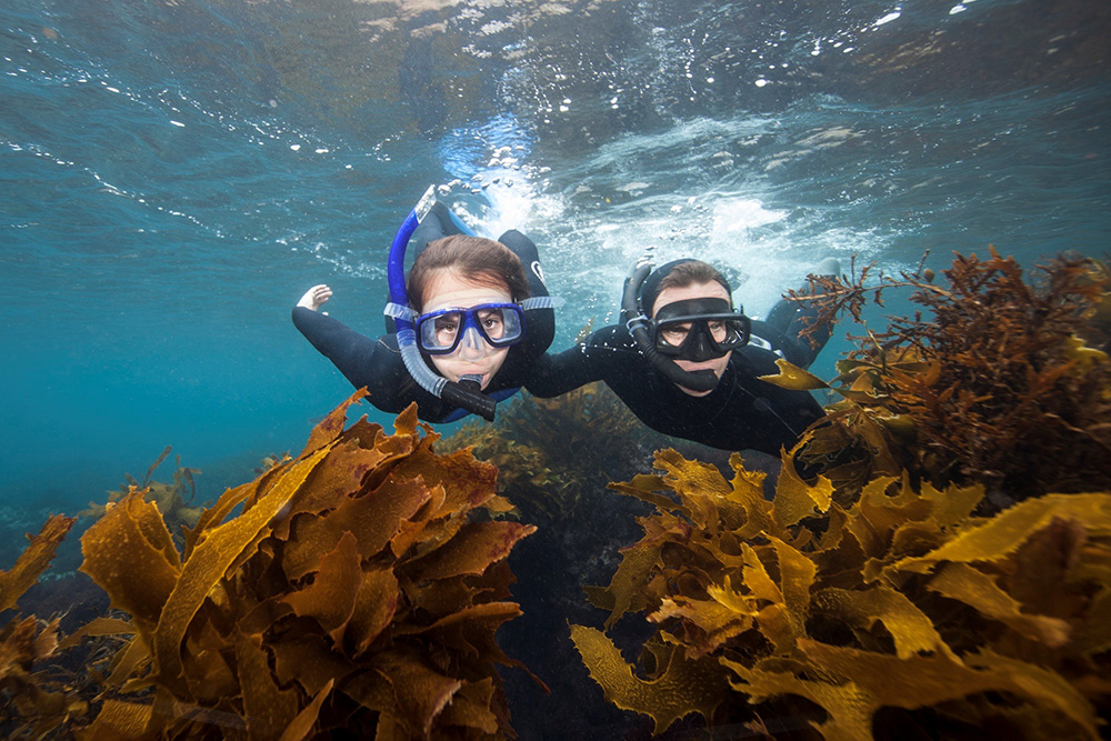 PADI AmbassaDiver - Riley and Steve Hathaway