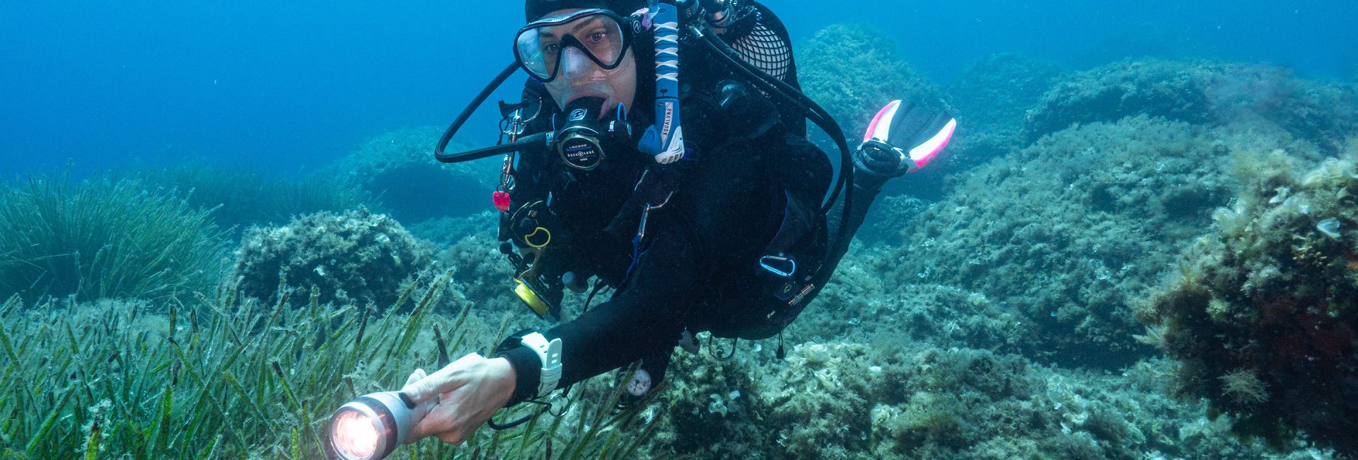8 of the Top Dive Sites in Ibiza