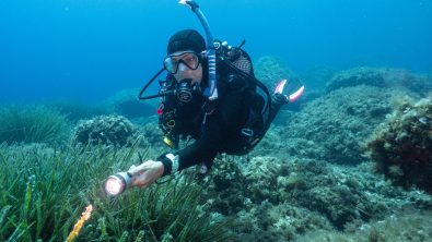 A scuba diver uses a torch to illuminate sea grass in Ibiza, Spain