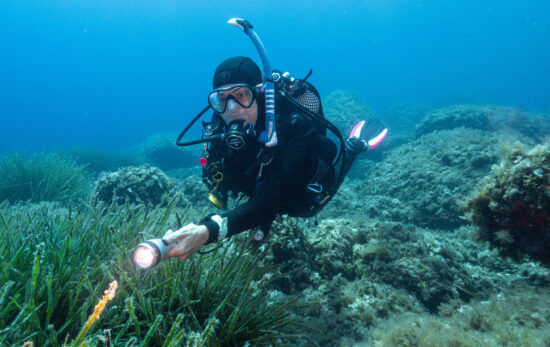 A scuba diver uses a torch to illuminate sea grass in Ibiza, Spain