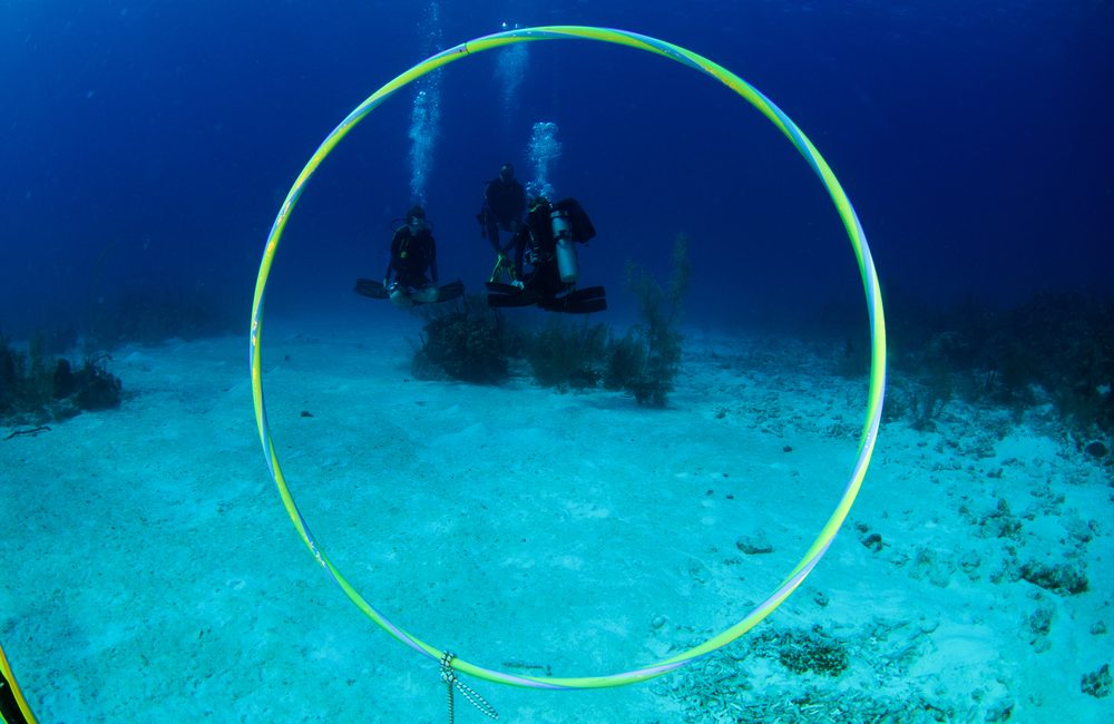 6 причин пройти курс PADI Peak Performance Buoyancy